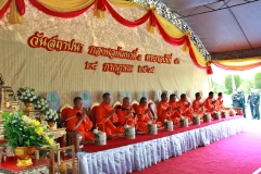 batch_IMG_7097