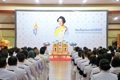 batch_IMG_3919