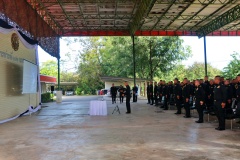 batch_IMG_3844
