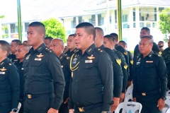 batch_IMG_3856