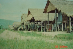 DSC00295